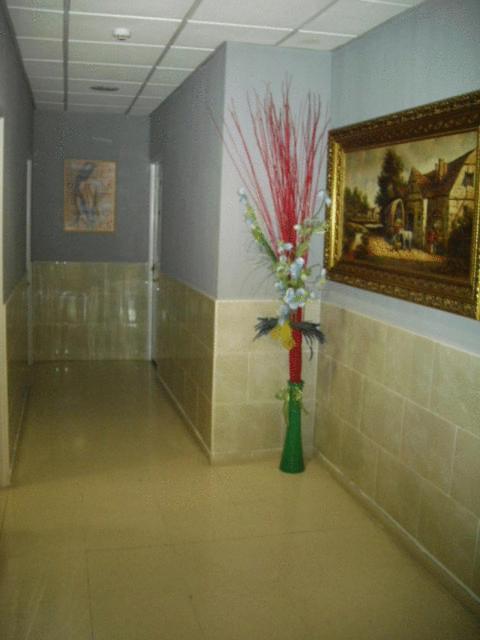 Hostal Ds Velilla de San Antonio Exterior photo